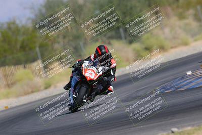 media/Nov-11-2023-SoCal Trackdays (Sat) [[efd63766ff]]/Turn 2 Set 2 (1145am)/